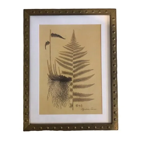 Rare IKEA Botanical Prints set of 4 Brass Frame